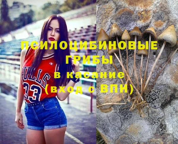 ПСИЛОЦИБИНОВЫЕ ГРИБЫ Медногорск