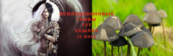MDMA Магас