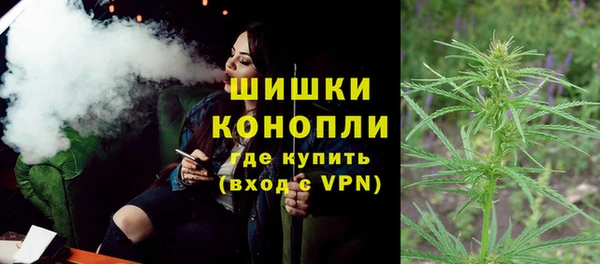 ПСИЛОЦИБИНОВЫЕ ГРИБЫ Медногорск