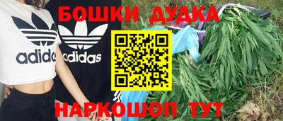 индика Бузулук
