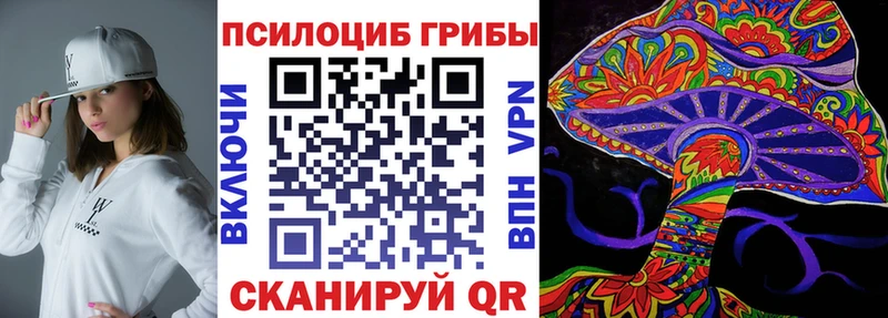 OMG ССЫЛКА  Новозыбков  Псилоцибиновые грибы ЛСД  закладка 