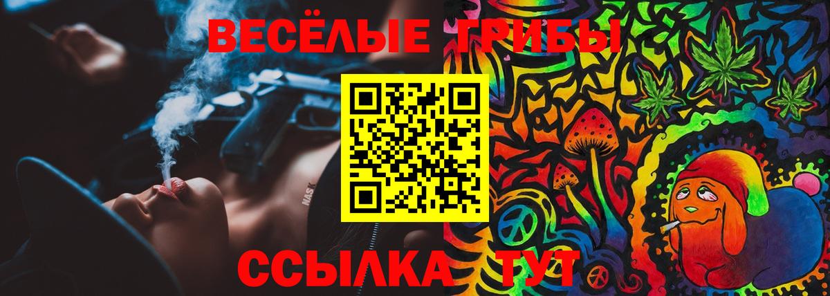 Псилоцибиновые грибы MAGIC MUSHROOMS  Вход с VPN  Псилоцибиновые грибы Cubensis  Новозыбков 