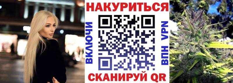 купить наркотики сайты  Новозыбков  гидра зеркало  Каннабис MAZAR 