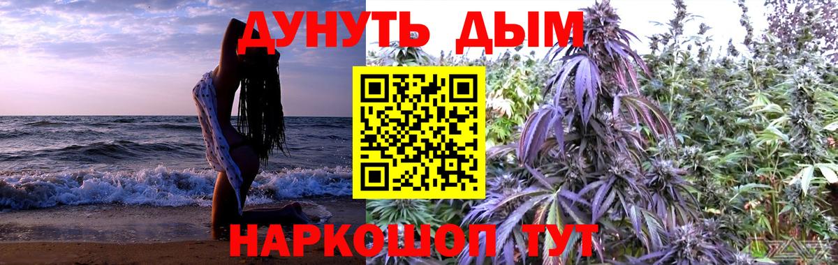 Новозыбков  Канабис сатива  Шишки марихуана план  Канабис ГИДРОПОН  Вход с VPN 